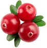 red cranberry
